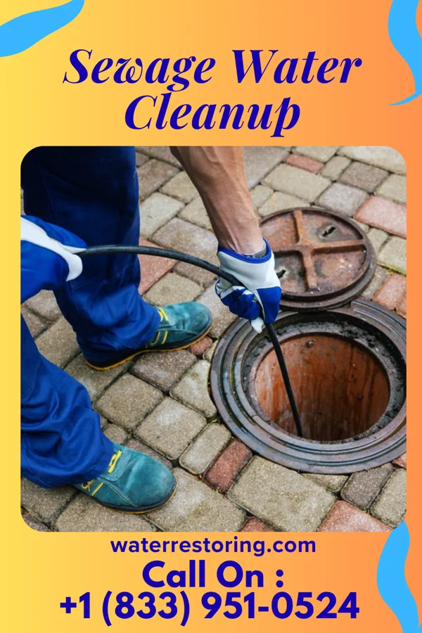 Sewage Water Cleanup in Geiger, AL